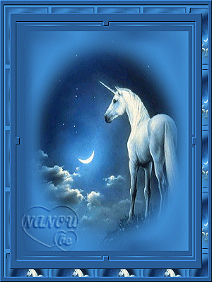 le petit cheval